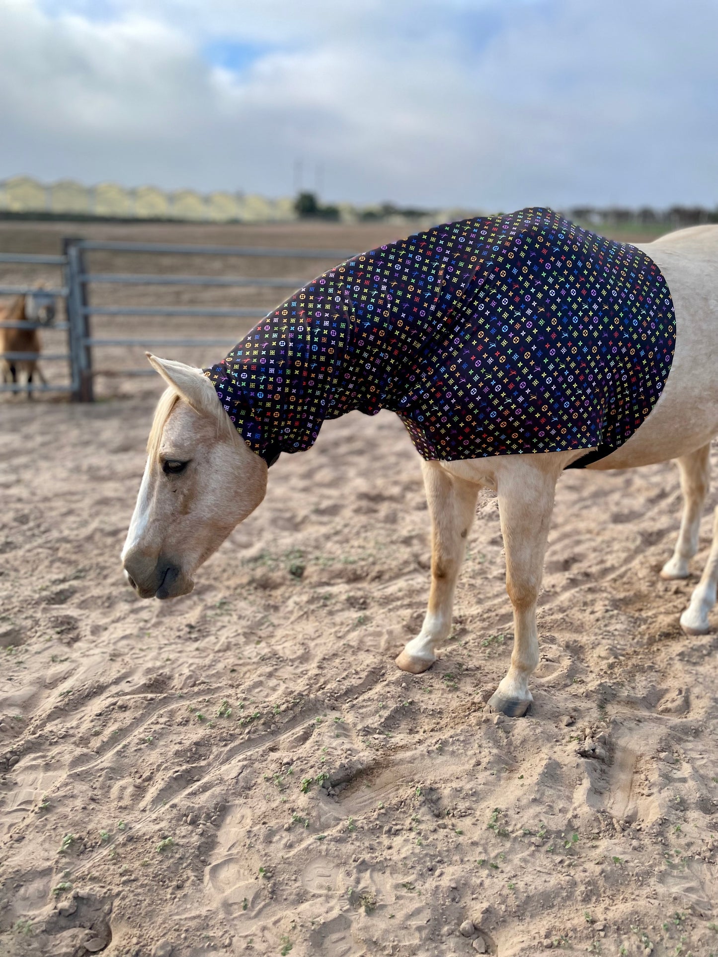 LV in Color Faceless Sleazy Hood