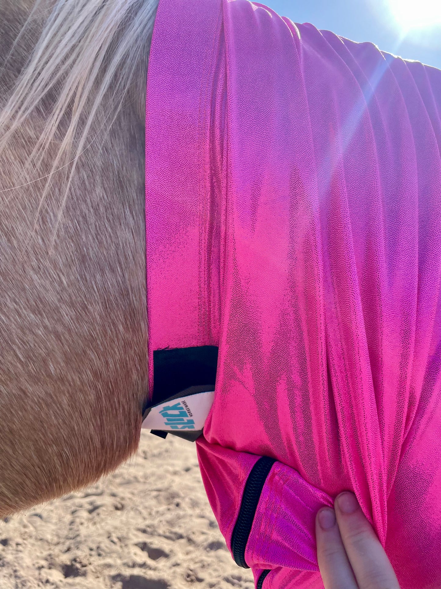 Metallic Hot Pink Faceless Hood Sleazy