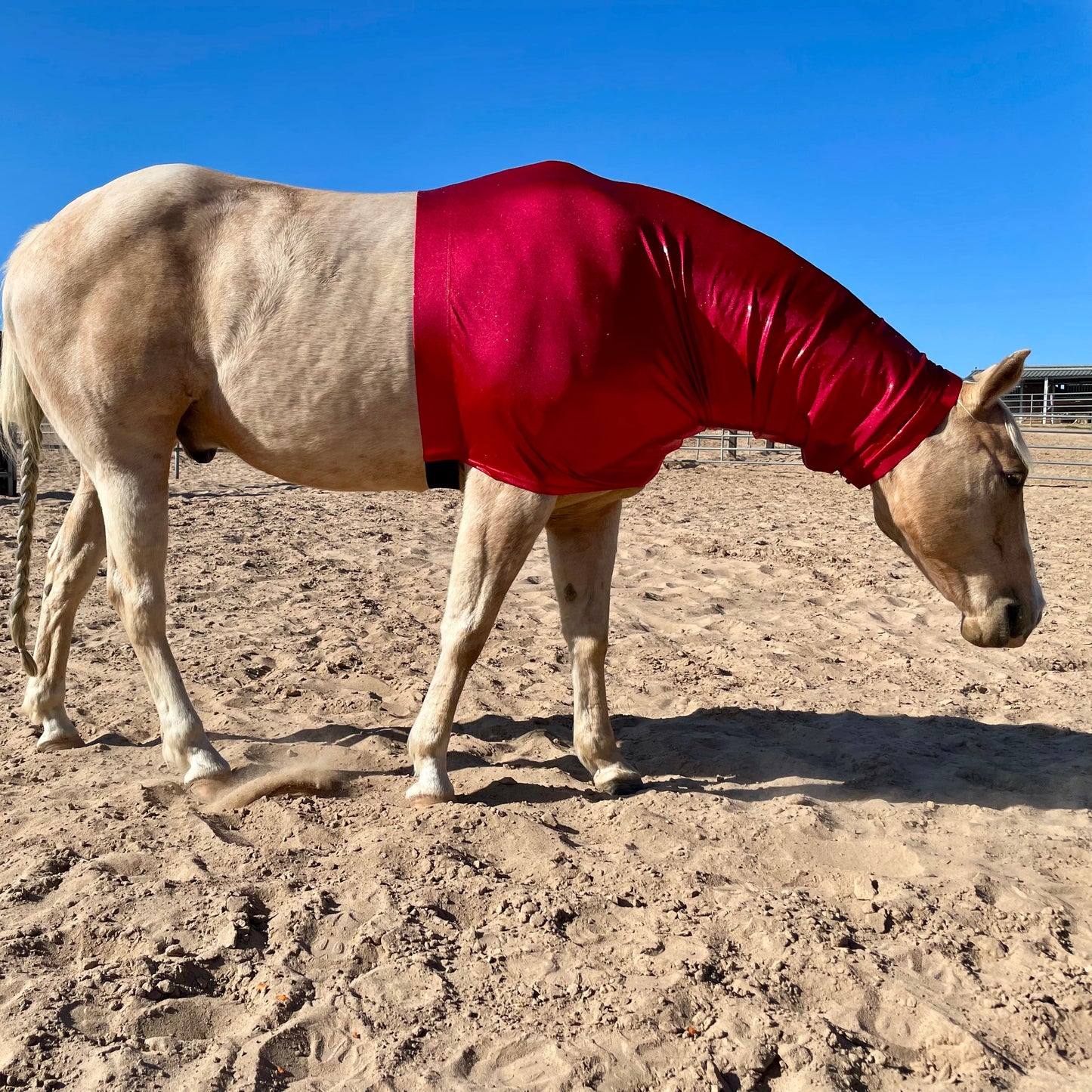 Metallic Red Faceless Hood Sleazy