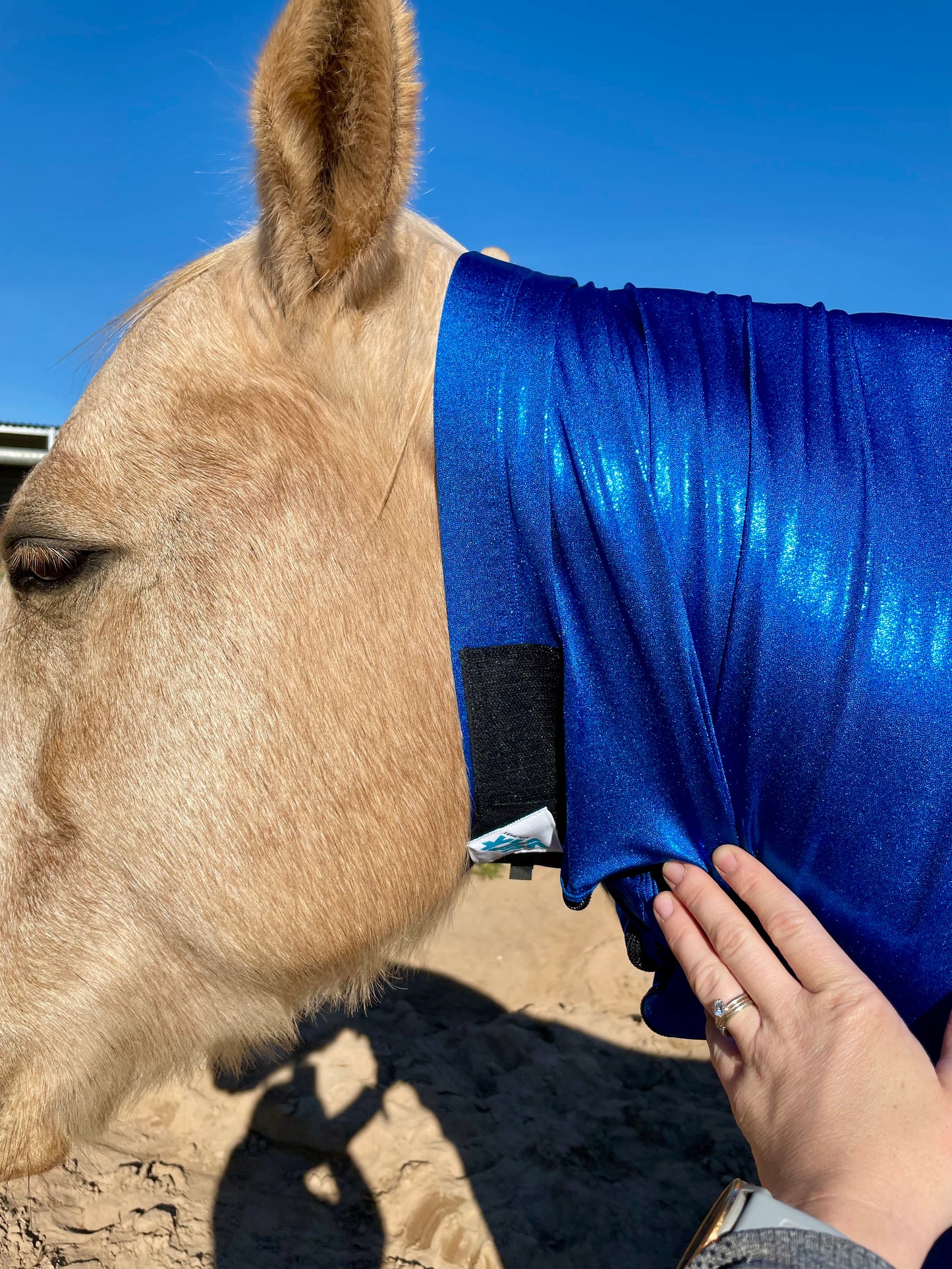 Metallic Royal Blue Faceless Full Body Sleazy