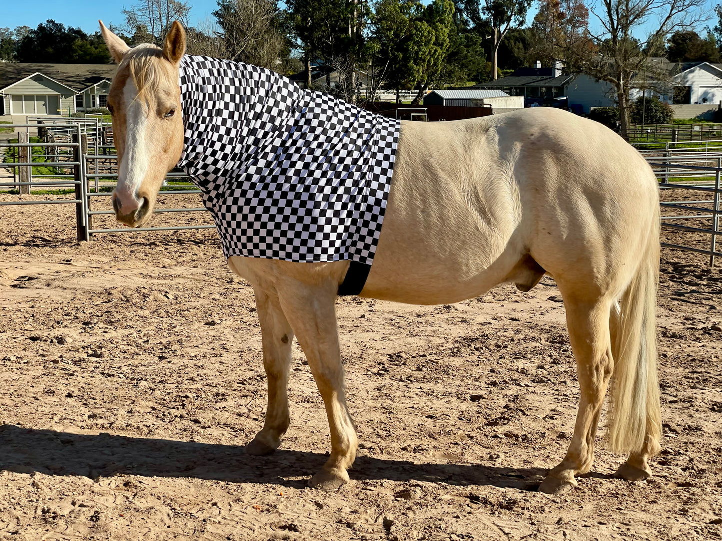 Checkered B&W Faceless Hood Sleazy