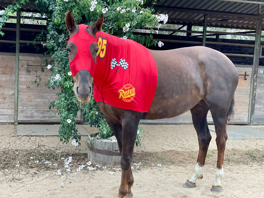 Lightening McQueen Race Car Horse Costume