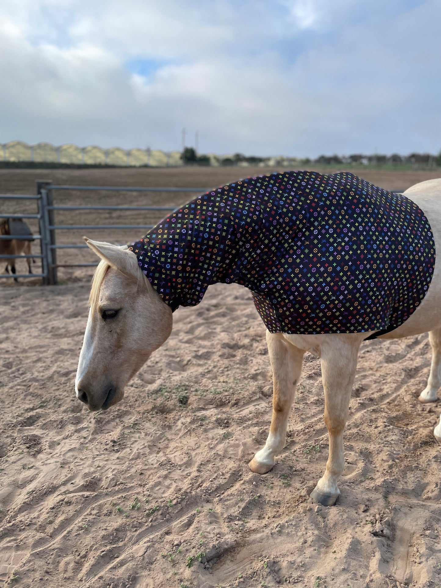 LV in Color Faceless Sleazy Hood