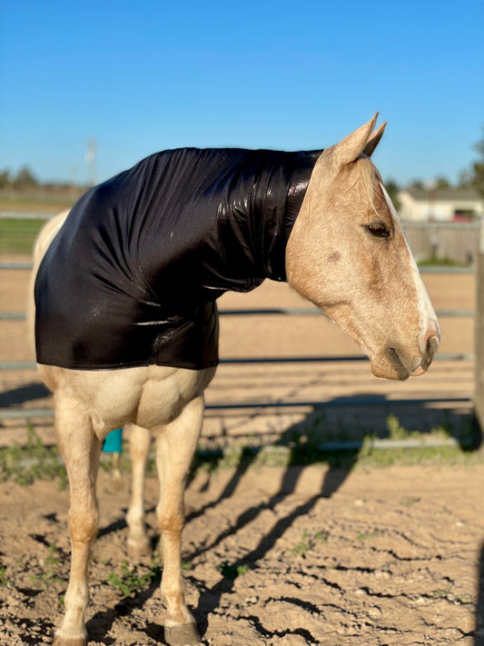 Metallic Black Faceless Hood Sleazy
