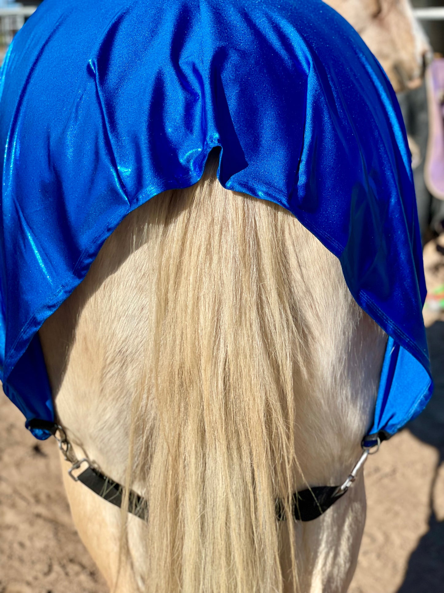 Metallic Royal Blue Faceless Full Body Sleazy