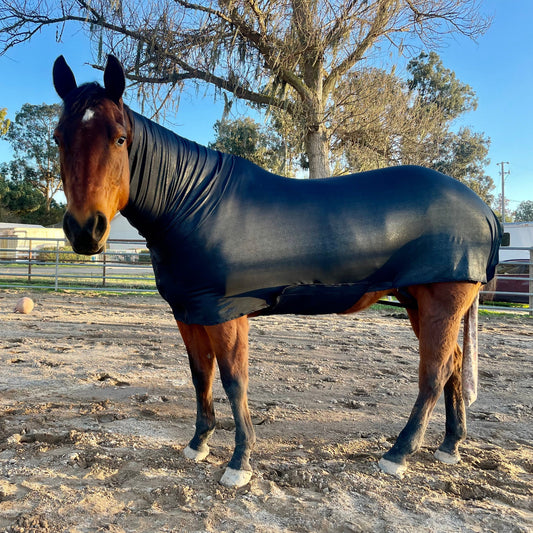 Black SuperFlex Compression Faceless Full Body sleazy from www.slickhorseware.com