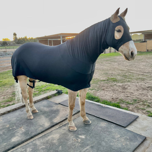Black SuperFlex Compression Full Body Sleazy from www.slickhorseware.com