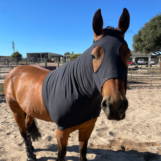 Black sleazy hood from www.slickhorseware.com