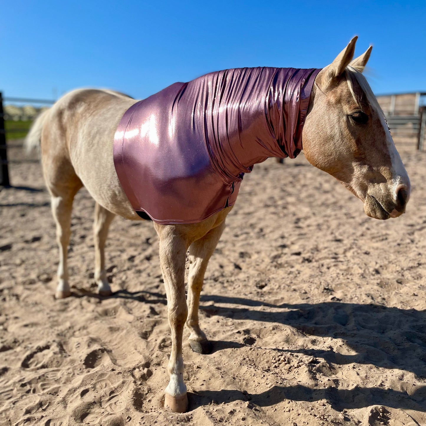 Metallic rose faceless hood by slickhorseware.com
