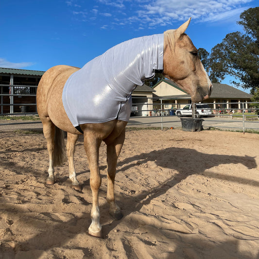 Metallic Silver Faceless Hood Sleazy from slickhorseware.com