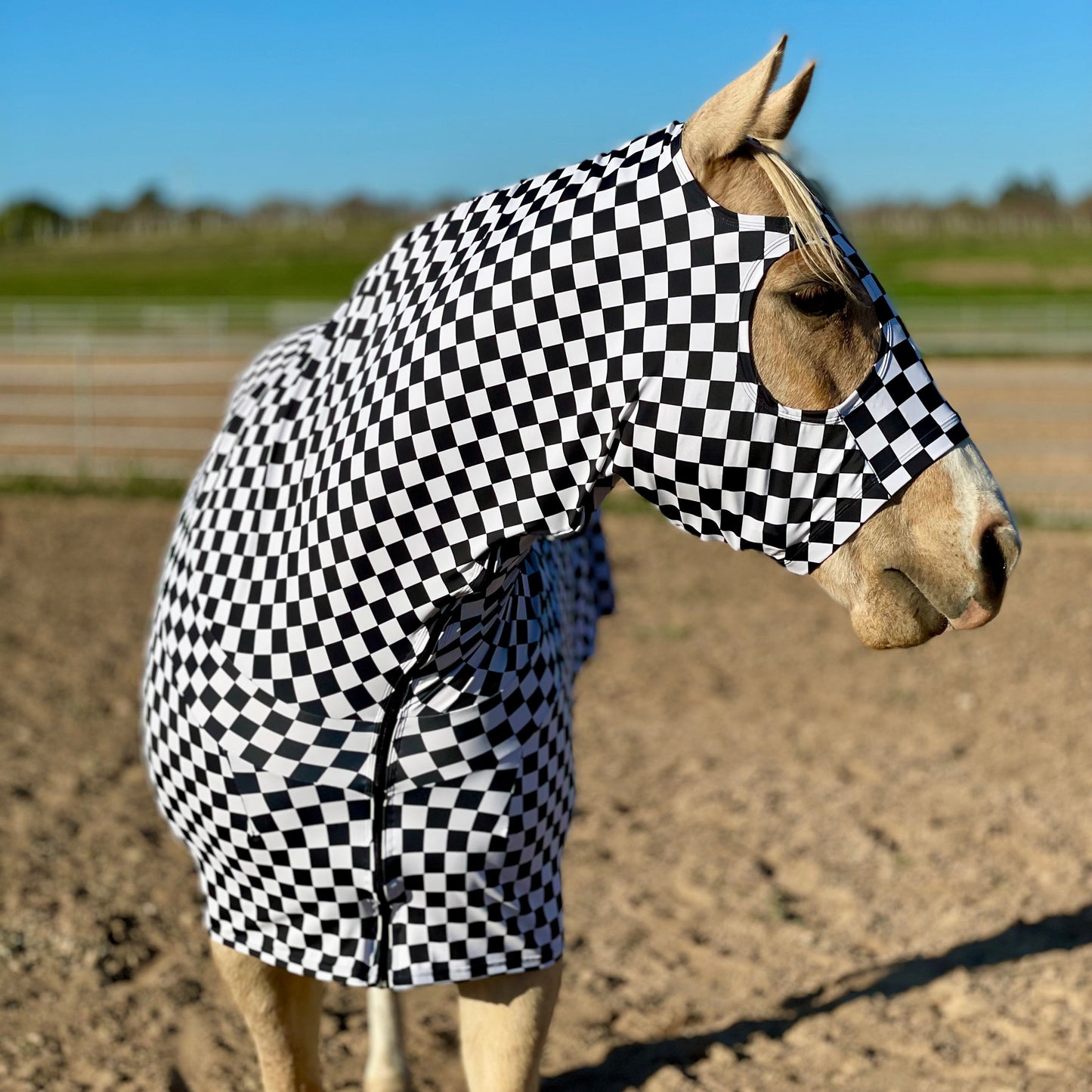 Horse wearing Checkered Black and White Full Body Sleazy by Slick Horseware