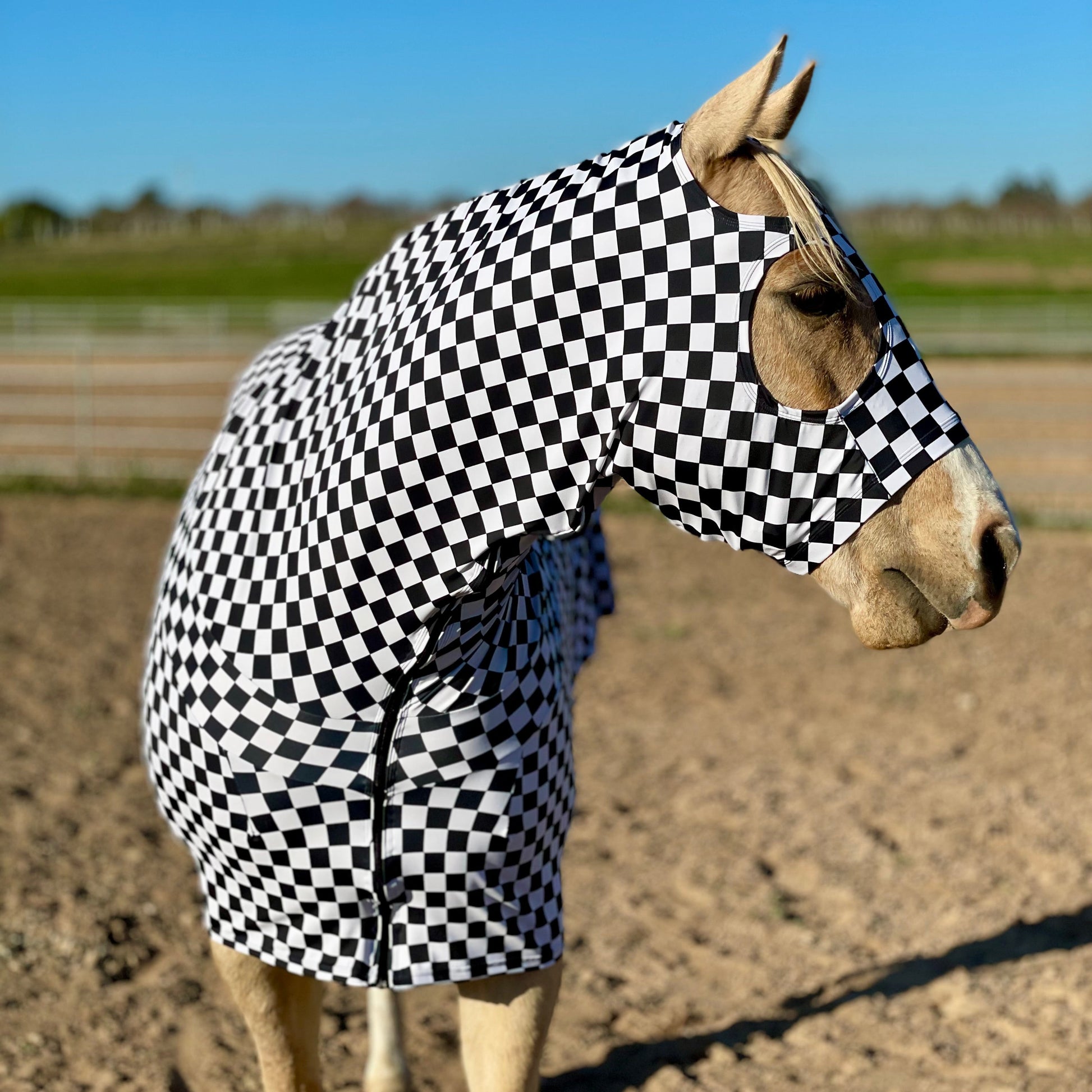Horse wearing Checkered Black and White Full Body Sleazy by Slick Horseware
