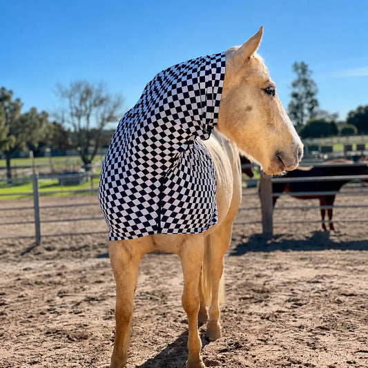 Horse wearing a checkered black and white faceless hood sleazy in an outdoor setting