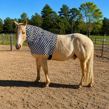 Beige horse wearing a black and white checkered faceless hood sleazy in an outdoor setting with trees and a fence.