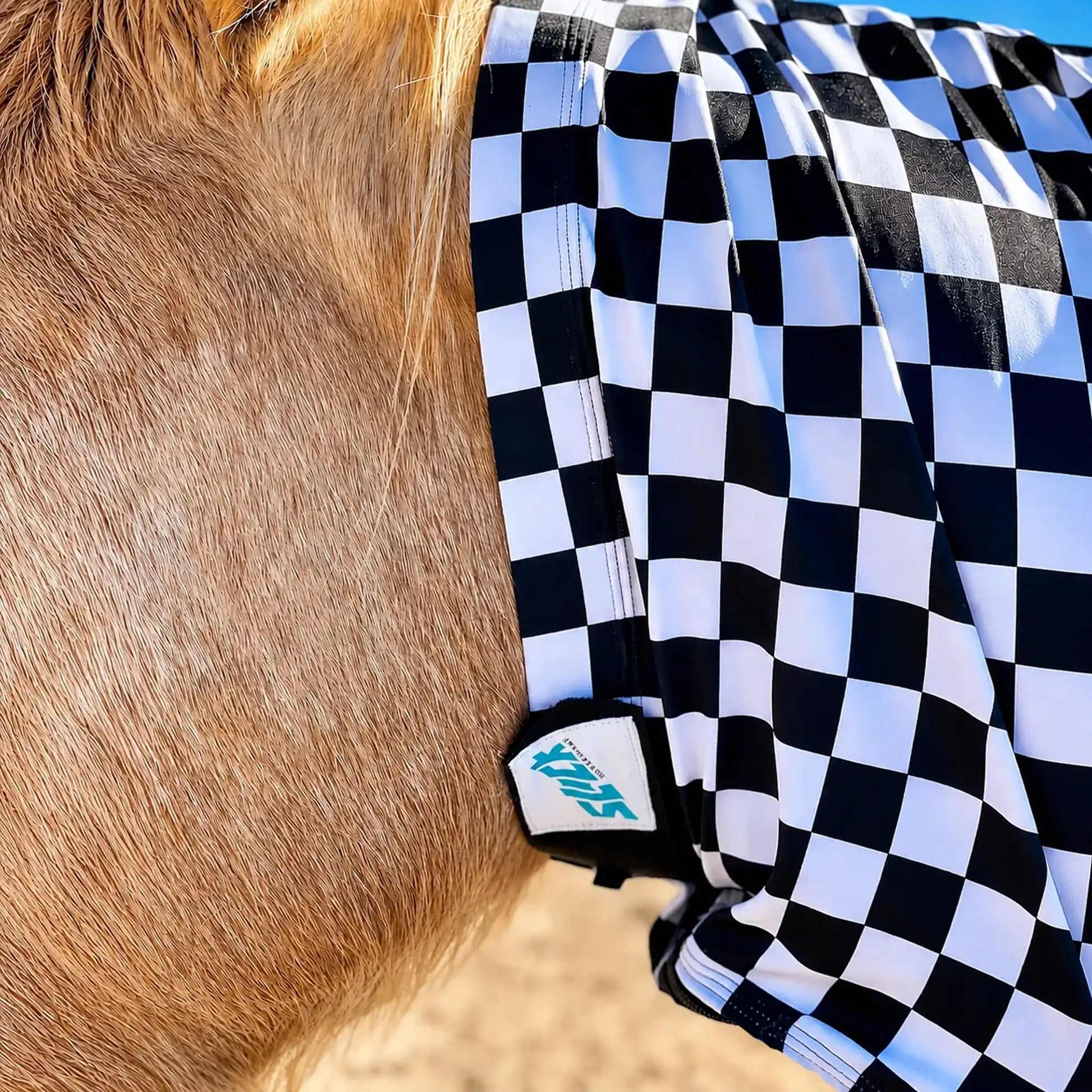Close-up of a horse wearing a black and white checkered faceless hood sleazy with a visible brand logo.