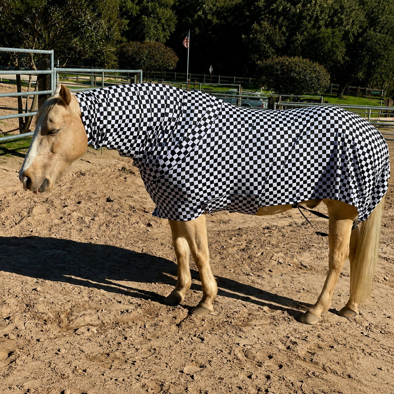 Checkered B&W Faceless Full Body Sleazy