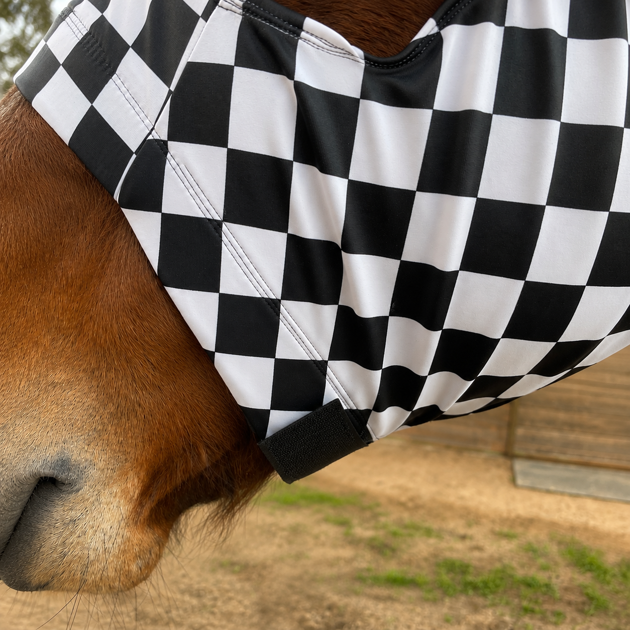 Checkered B&W Hood Sleazy