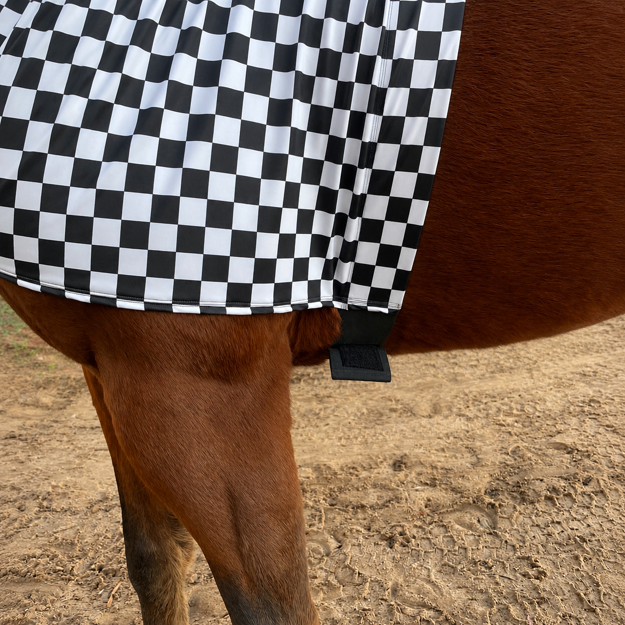 Checkered B&W Hood Sleazy