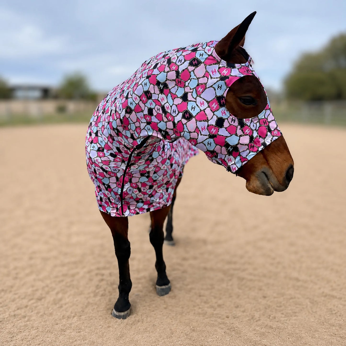Coco pink full body sleazy horse face view outside showing fitment