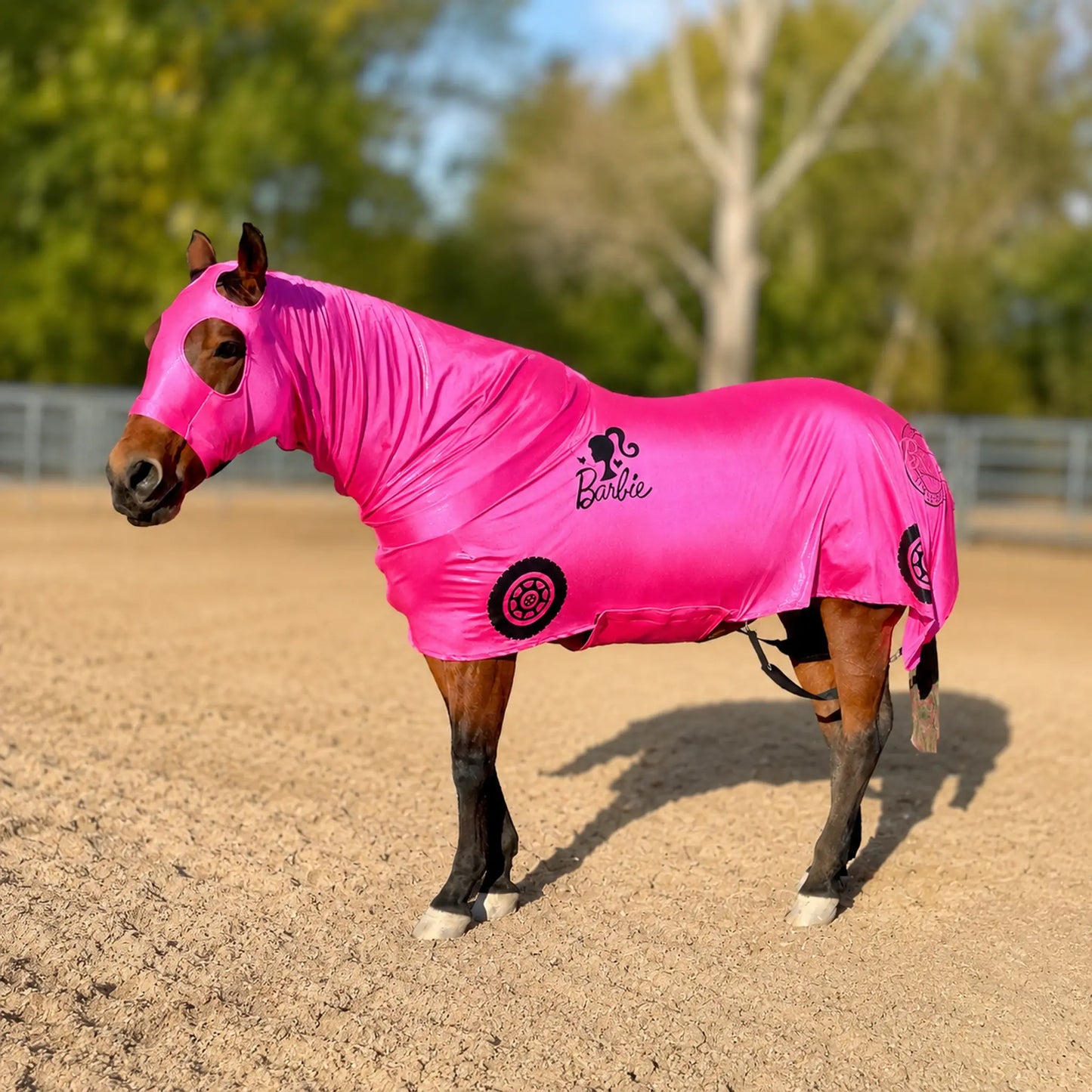 Horse wearing a pink barbie costume sleazy with a Barbie logo in an outdoor setting