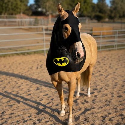 Horse wearing a black hood sleazy with a Batman logo in an outdoor setting