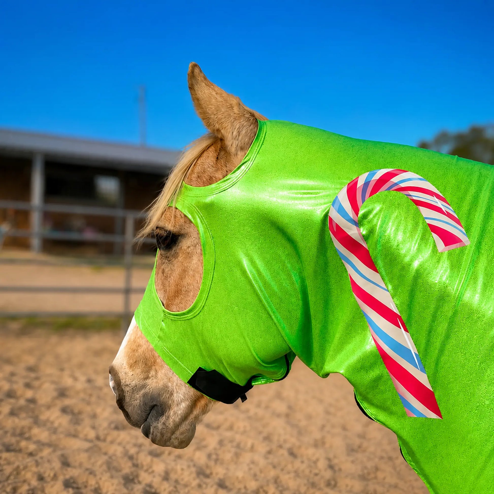 Horse wearing a metallic green candy costume sleazy with a candy cane design outdoors