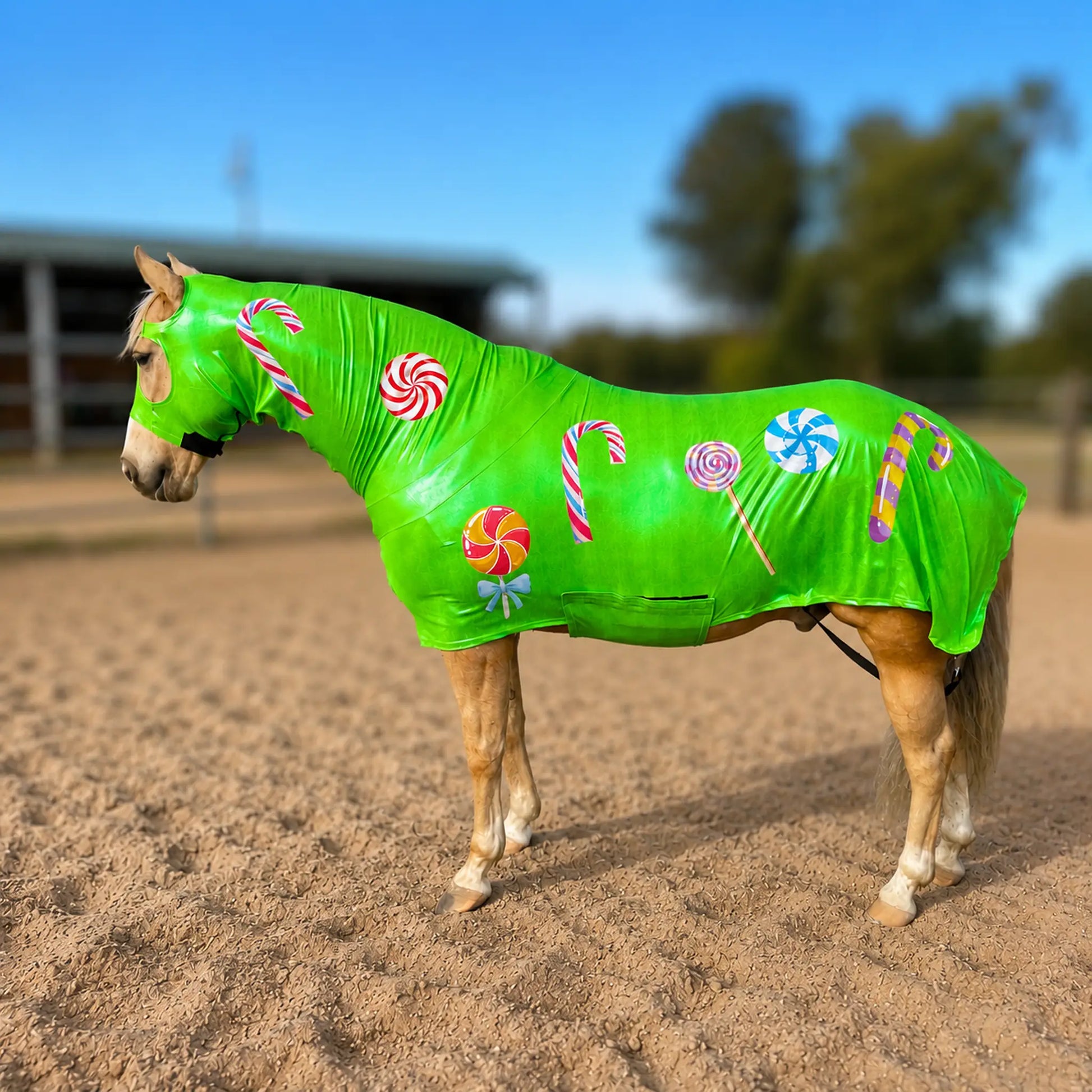 Horse wearing a metallic green candy-themed sleazy in an outdoor setting