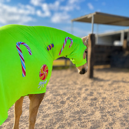 Dog wearing a bright metallic green candy costume sleazy with candy cane and lollipop patterns on a sandy beach.