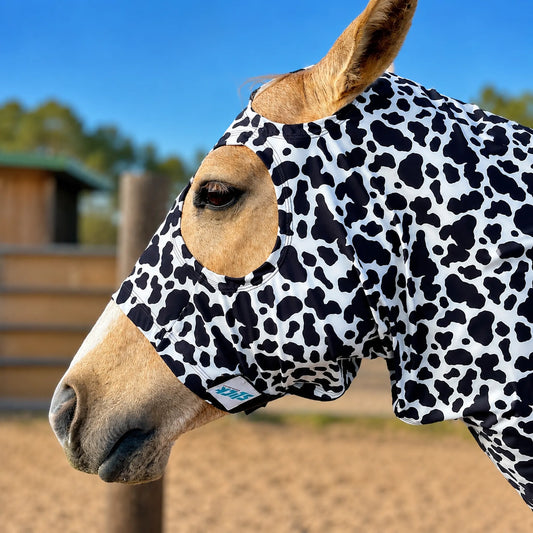 Horse wearing a cow print costume sleazy with a blurred outdoor background