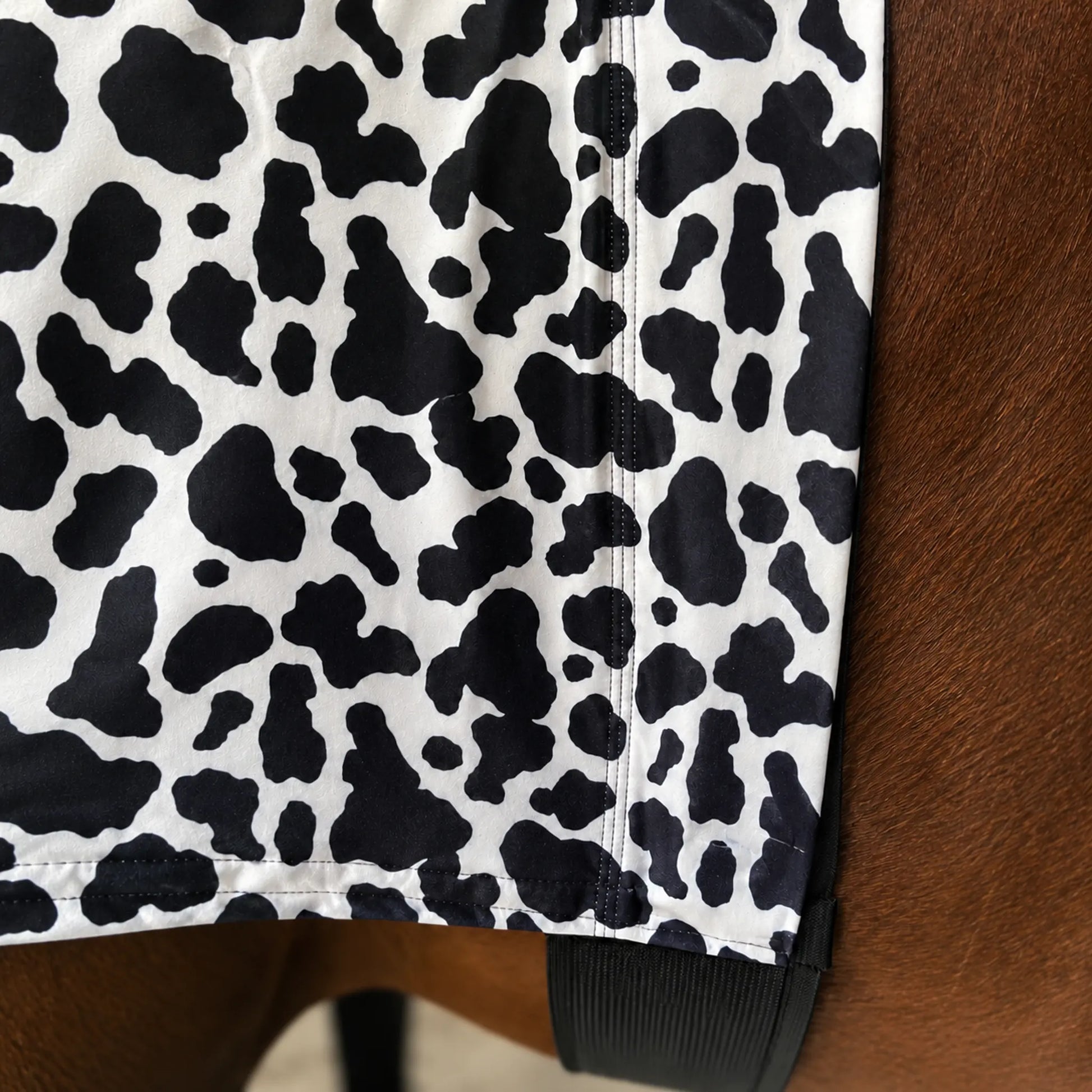 Close-up of a belly view from black and white cow print hood sleazy on a fabric surface.