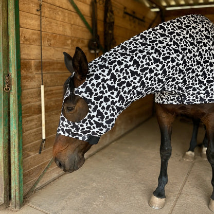 Horse wearing a black and white cow print costume hood sleazy in a stable.