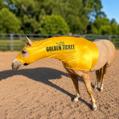 Horse wearing a yellow 'Golden Ticket' costume sleazy in an outdoor setting