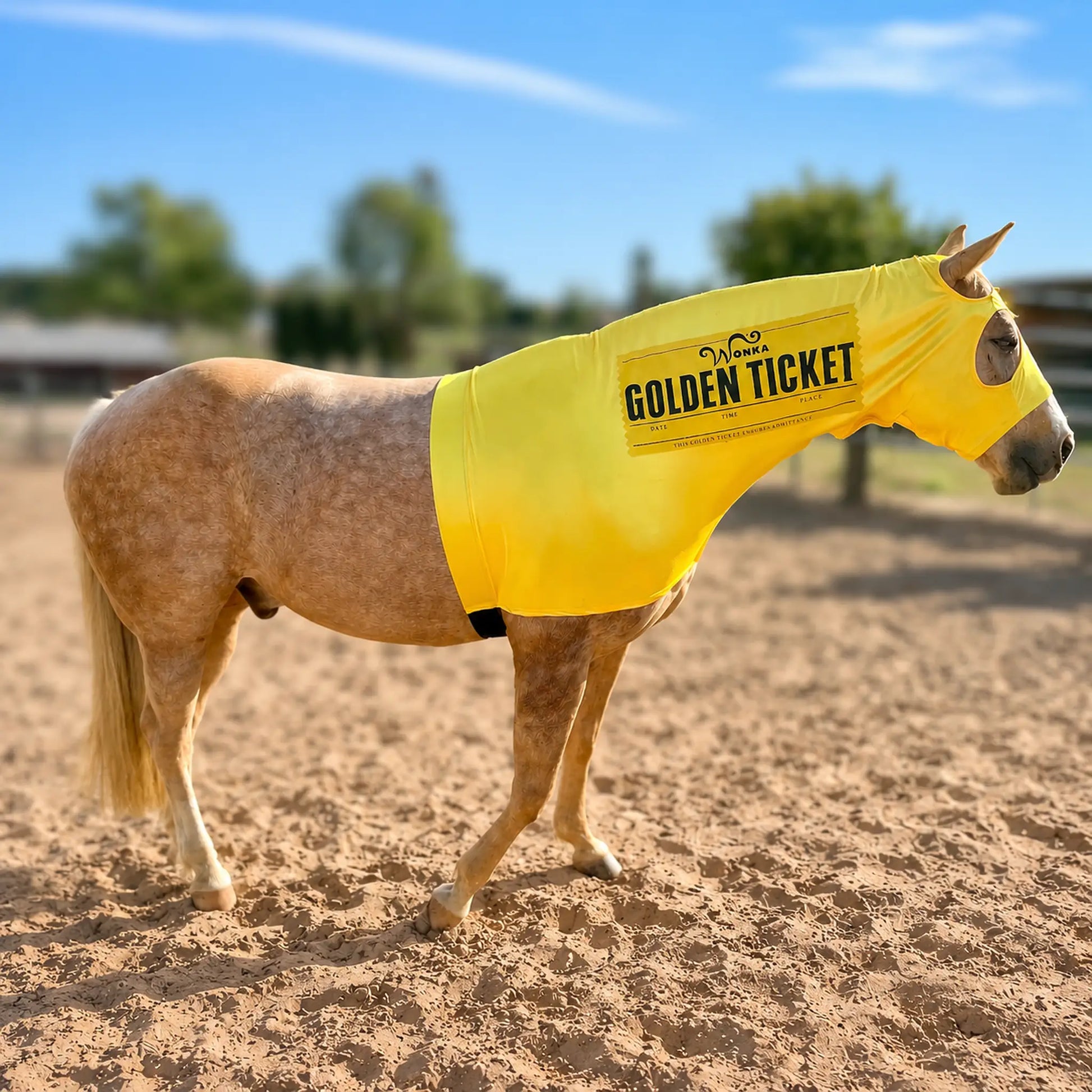 Horse wearing a yellow 'Golden Ticket' costume sleazy in an outdoor setting