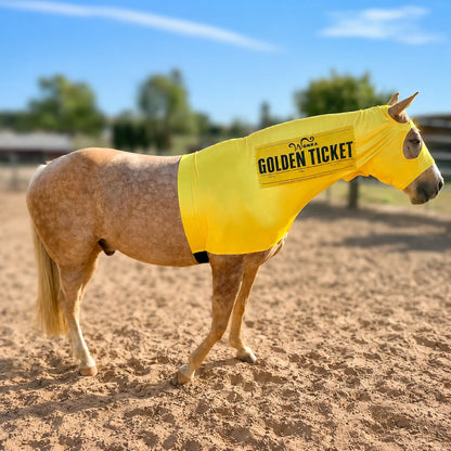 Horse wearing a yellow 'Golden Ticket' costume sleazy in an outdoor setting