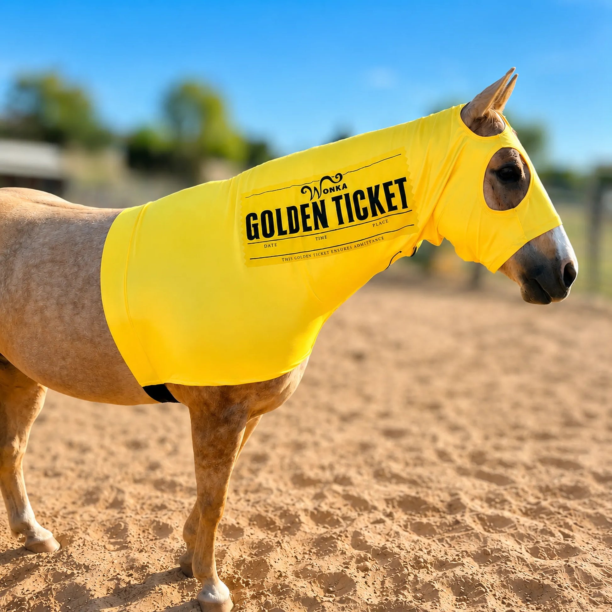 Horse wearing a yellow 'Golden Ticket' costume sleazy in an outdoor setting
