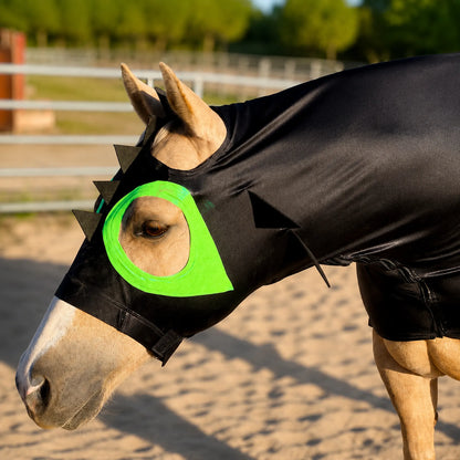 Horse wearing a black how to train your dragon sleazy with a green nose patch in an outdoor setting.