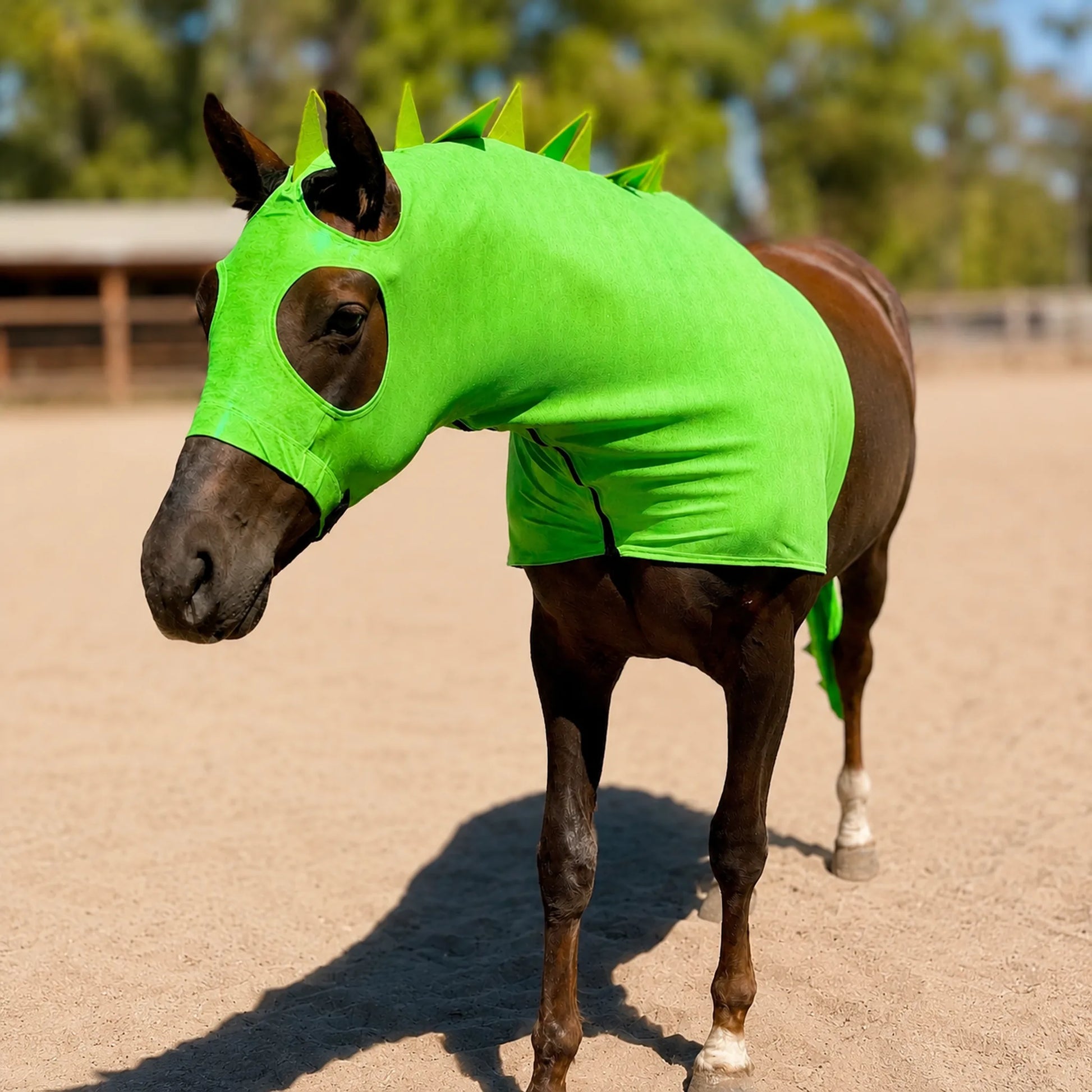 Horse wearing a metallic green dragon horse costume sleazy with spikes and matching tailbag with spikes on a sandy ground.