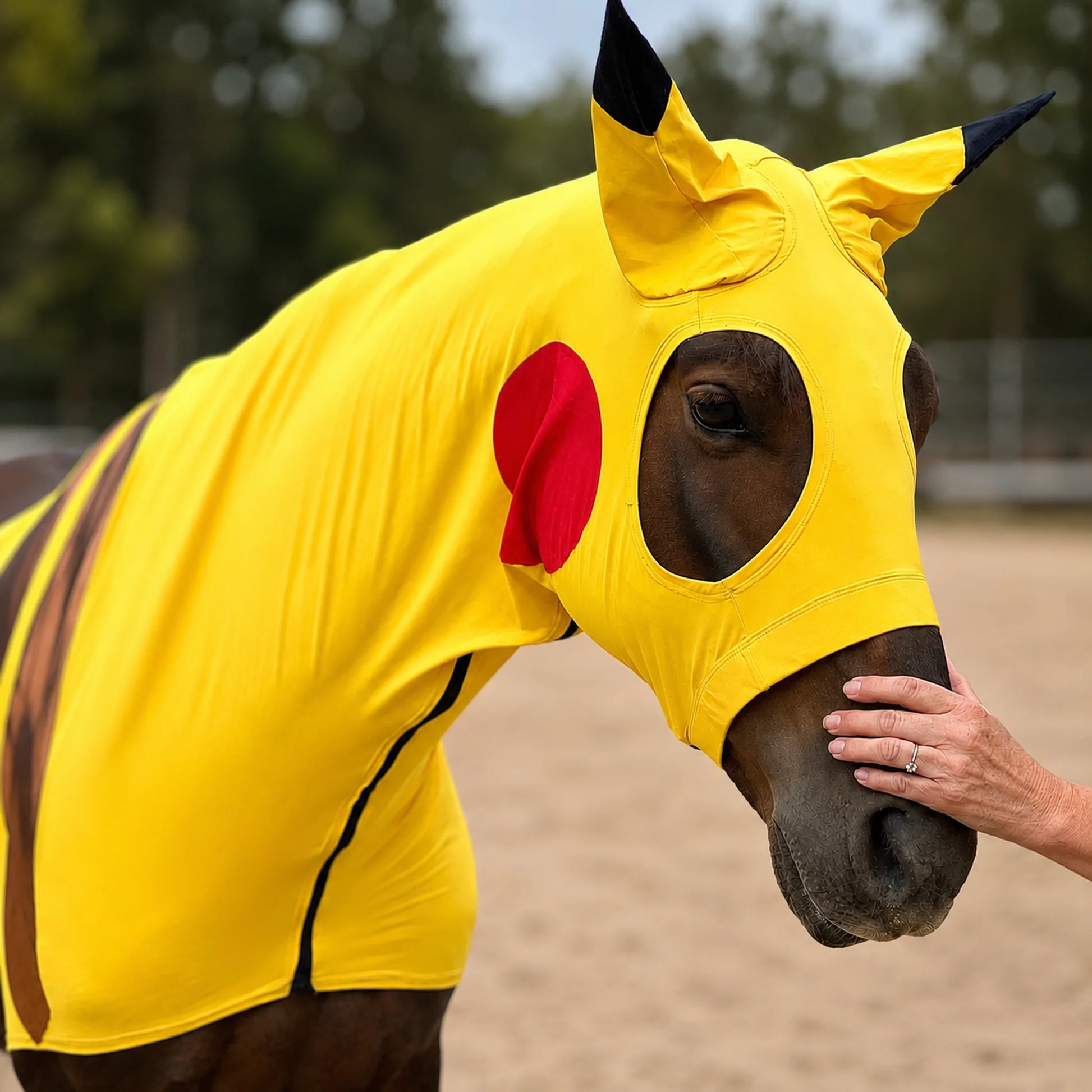 Horse wearing a yellow pikachu sleazy costume with red circle and black ears, being petted by a hand.