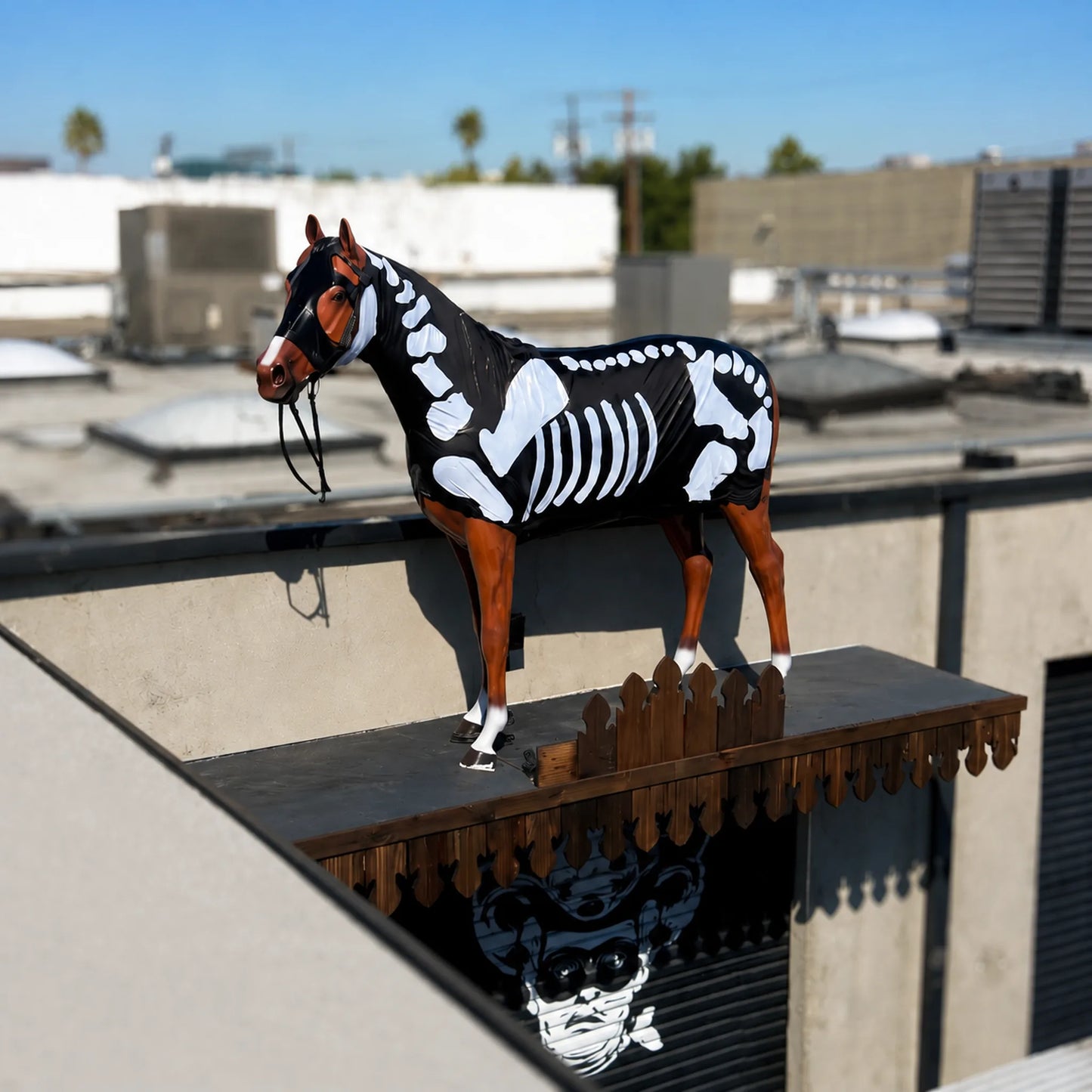 Horse wearing a skeleton costume sleazy on a rooftop with buildings in the background