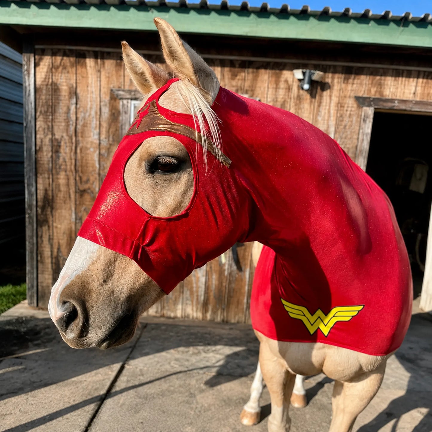 Horse wearing a red Wonder Woman costume sleazy in front of a wooden building.