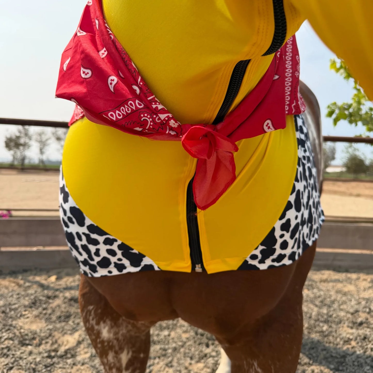 Woody showing a red bandana horse costume sleazy.