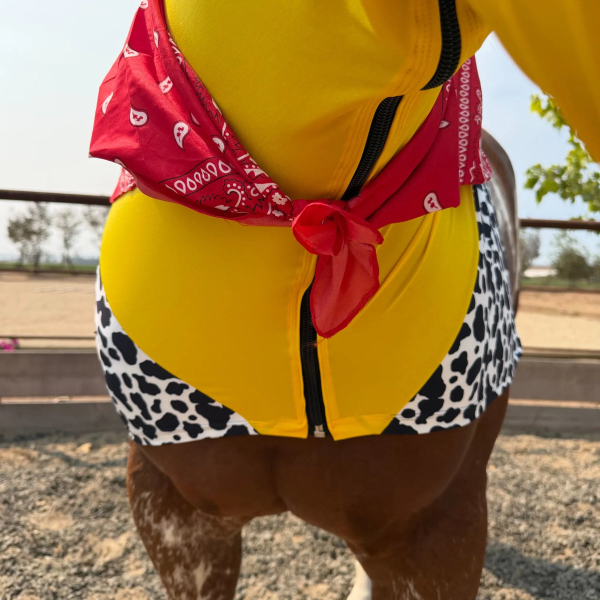 Woody showing a red bandana horse costume sleazy.