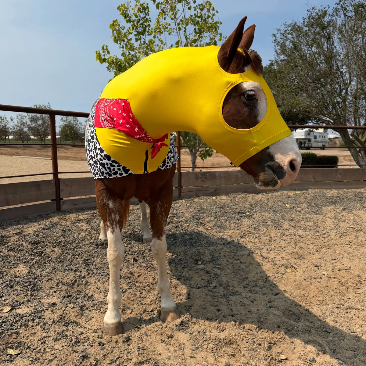 Woody horse costume sleazy front view.