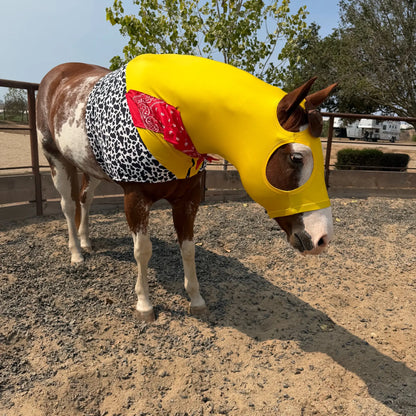 Woody costume from toy story in an arena