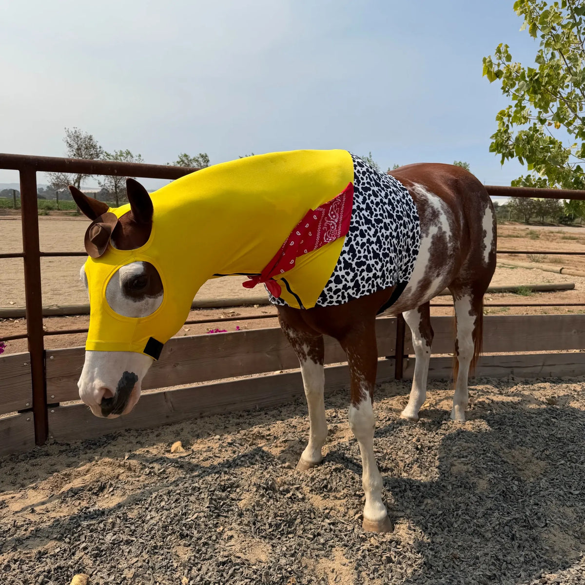 woody costume showing on a horse with a red bandana and brown hat.