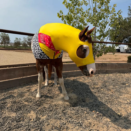 A horse wearing a bright yellow hood outfit with a circular face opening, black-and-white patterned shorts, and a red bandana, standing in a gravel outdoor enclosure.