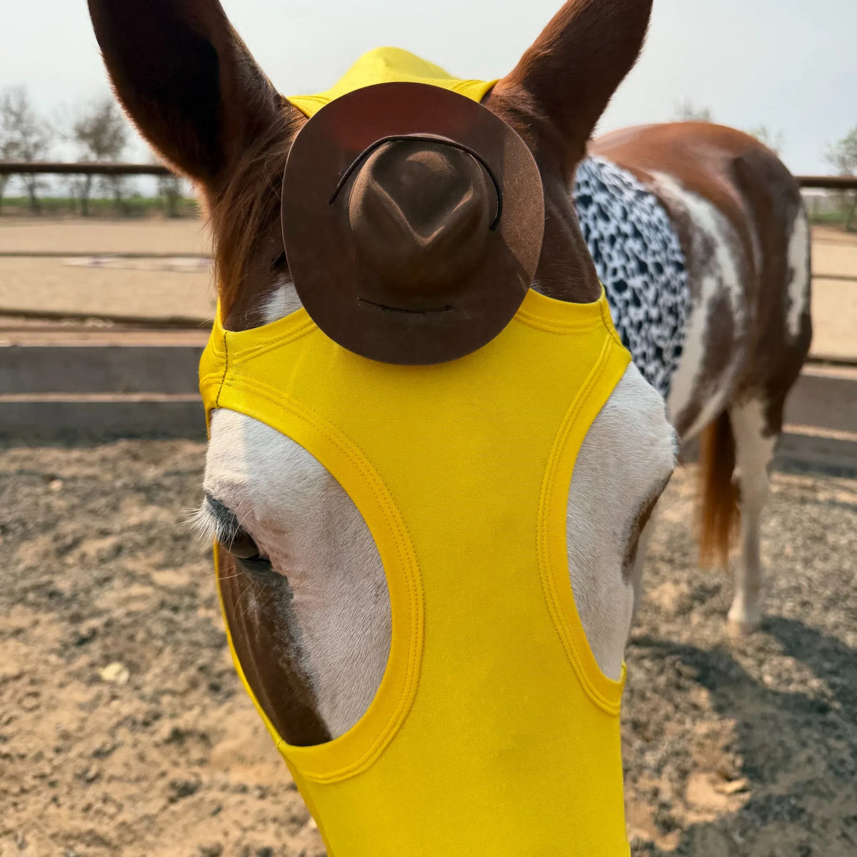 woody wearing a small hat horse costume sleazy.