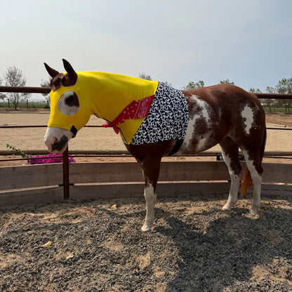 Woody form toy story horse costume hood sleazy in a arena. 