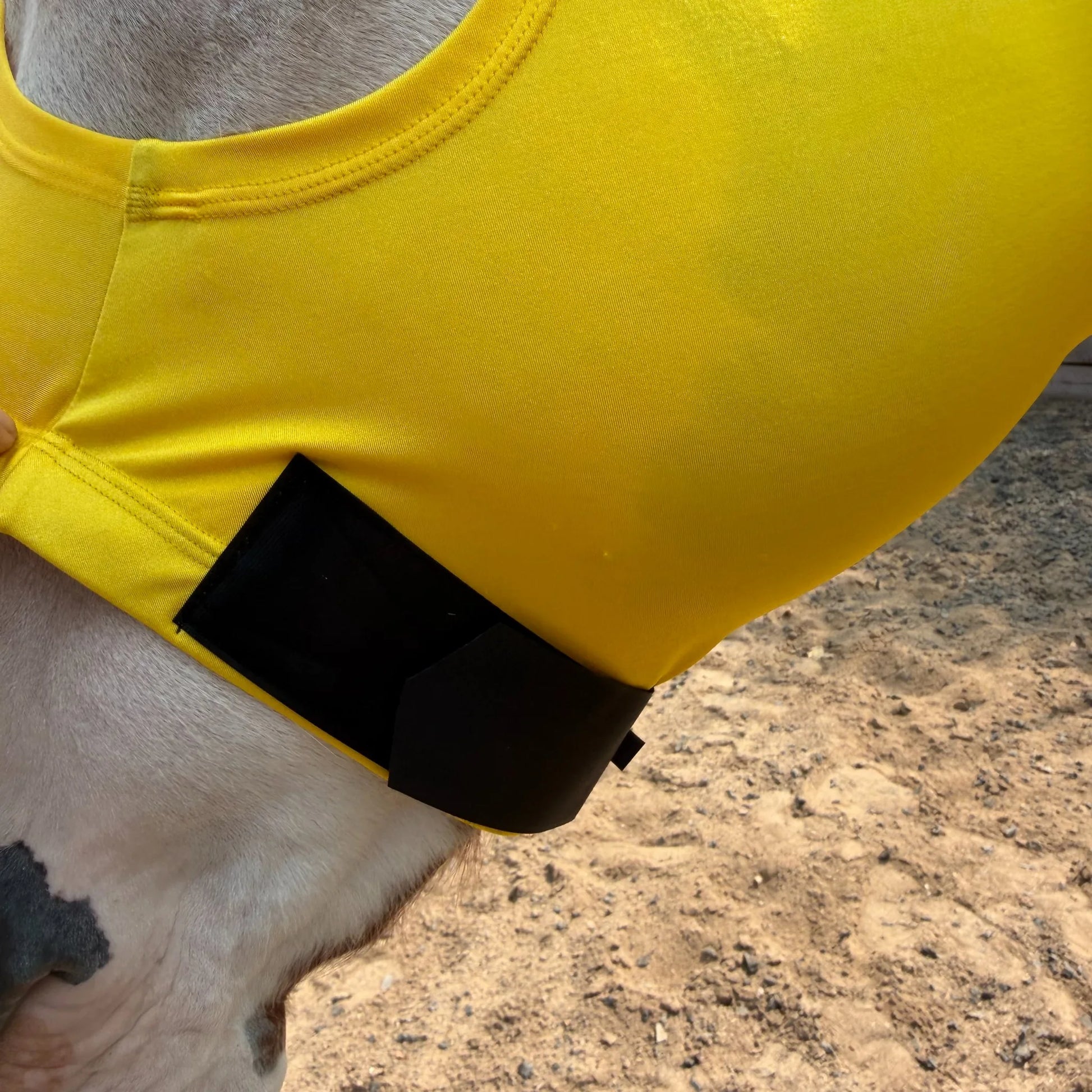Close-up of a bright yellow horse sleazy being fitted onto a horse's head, with a black strap or band visible around the base. The horse's neck and a sandy ground background are visible.