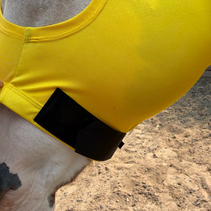 Close-up of a bright yellow horse sleazy being fitted onto a horse's head, with a black strap or band visible around the base. The horse's neck and a sandy ground background are visible.